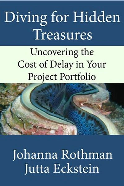 Diving for Hidden Treasures: Uncovering the Cost of Delay in Your Project Portfolio
