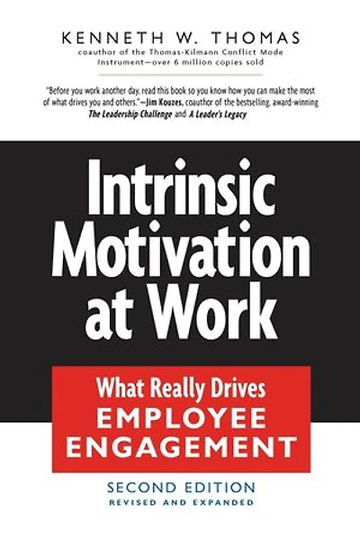 Intrinsic Motivation at Work: Building Energy And Commitment