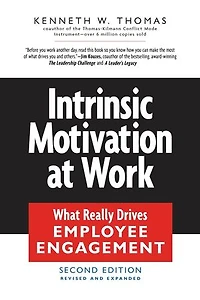 Intrinsic Motivation at Work: Building Energy And Commitment