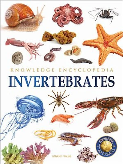 Animals - Invertebrates : Knowledge Encyclopedia For Children