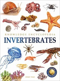Animals - Invertebrates : Knowledge Encyclopedia For Children