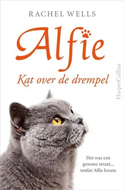 Kat over de drempel: het was een gewone straat...totdat Alfie kwam