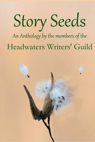 Story Seeds