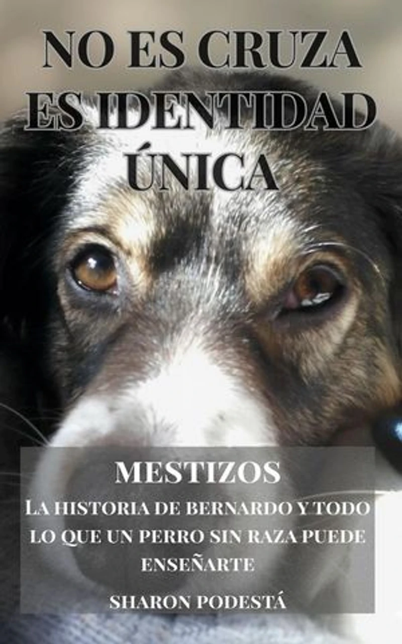 MESTIZOS. NO ES CRUZA. ES IDENTIDAD ÚNICA: MESTIZOS, #1