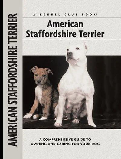 American Staffordshire Terrier