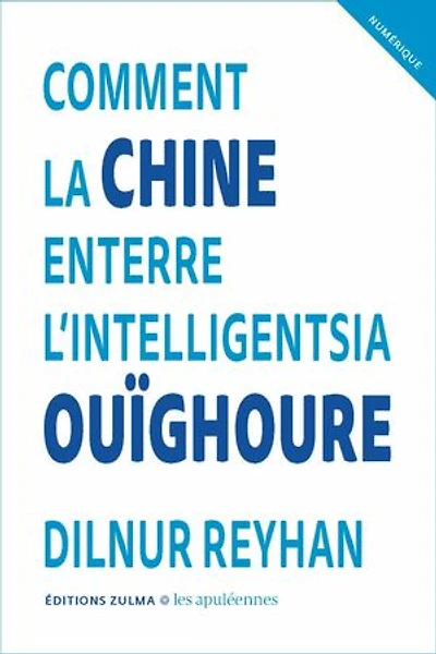 Comment la Chine enterre l'intelligentsia ouïghoure ; J'attends toujours solidarité des féministes envers les femmes ouïghoures
