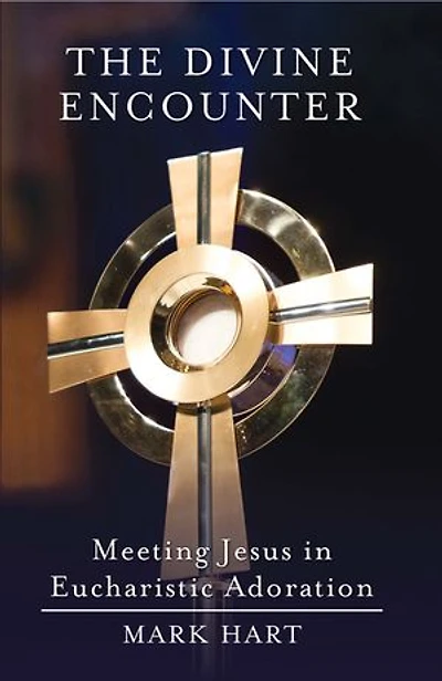 Free to Be Holy: Discovering Who Are in Christ