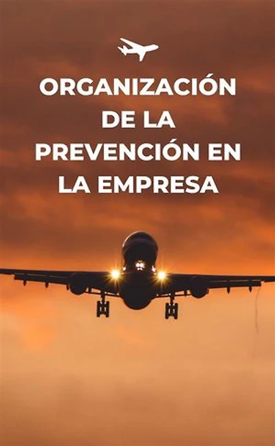 Organización de la prevención de la empresa