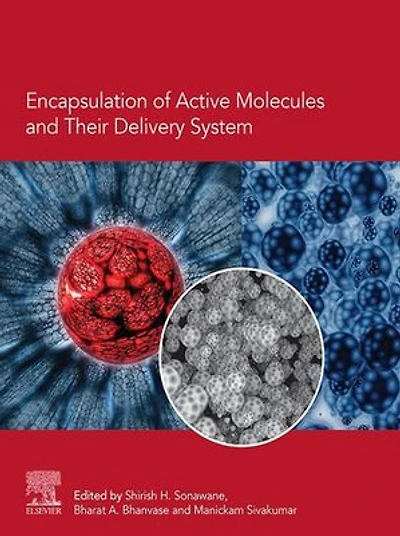 Encapsulation Of Active Molecules And Their Delivery System