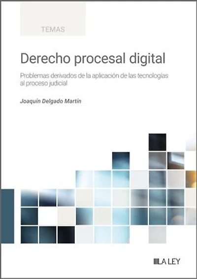 Derecho procesal digital: Problemas derivados de la aplicación de las tecnologías al proceso judicial