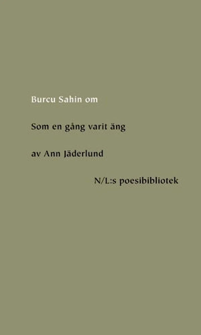 Om Som en gång varit äng av Ann Jäderlund