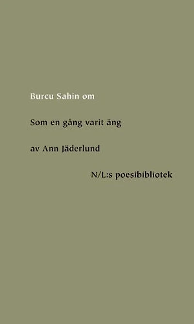 Om Som en gång varit äng av Ann Jäderlund