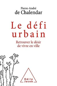 le défi urbain : retrouver désir de vivre en ville: ville