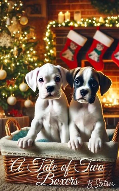 A Tale of Two Boxers