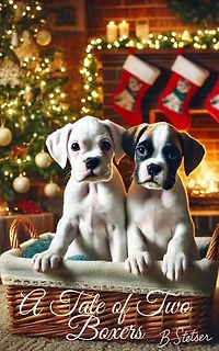 A Tale of Two Boxers