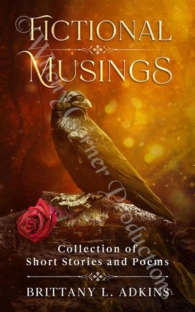 Fictional Musings