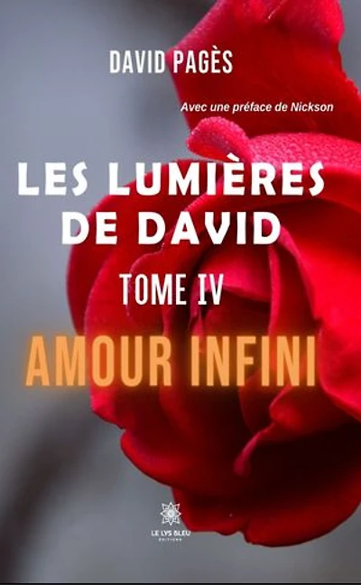 Les lumières de David - Tome 4: Amour infini