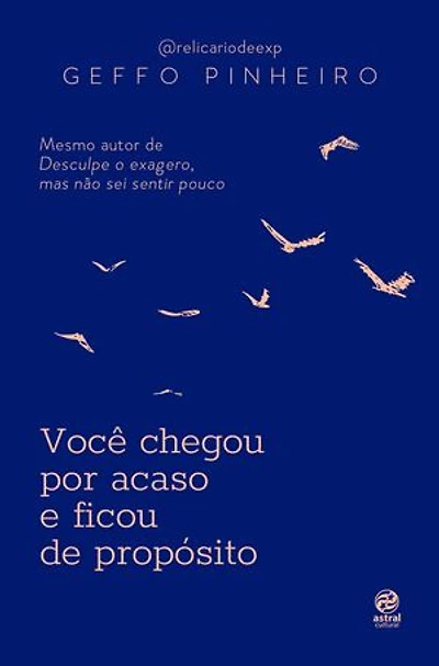 Você chegou por acaso e ficou de propósito