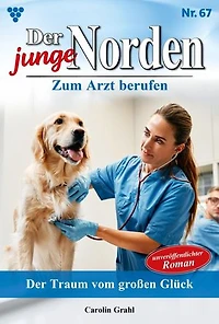 Der Traum vom großen Glück: Der junge Norden 67 – Arztroman