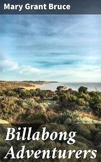 Billabong Adventurers: Brothers in the Australian Outback: Loyalty, Courage, and Adventure