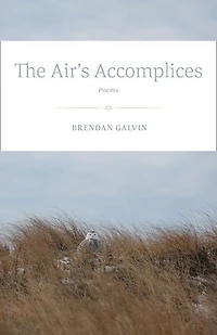 The Air's Accomplices: Poems