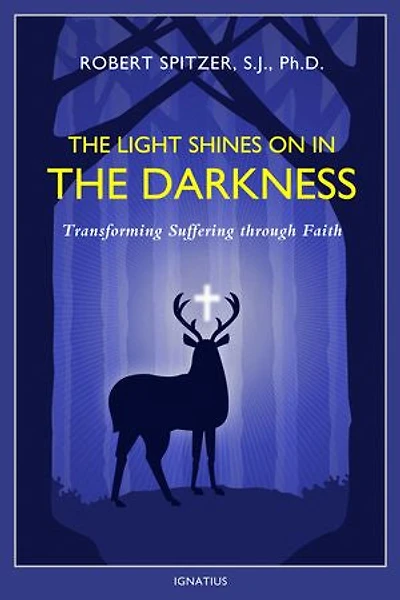 the Light Shines on Darkness: Transforming Suffering through Faith