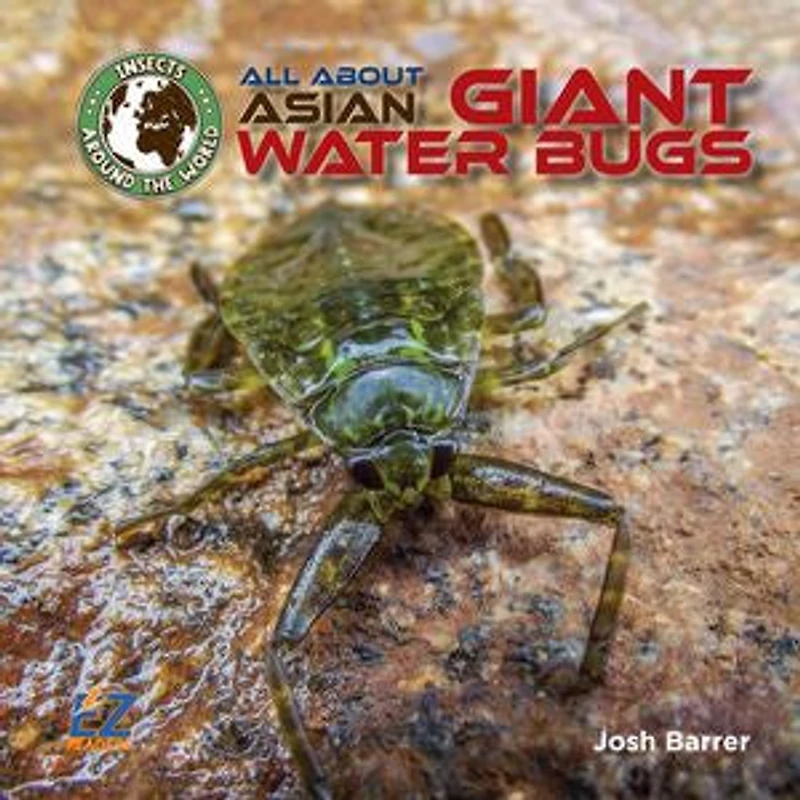 All About Asian Giant Water Bugs