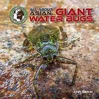 All About Asian Giant Water Bugs
