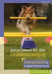 Neue Ideen für das Cavalettitraining: Stangenspaß fortgeschrittene Hunde