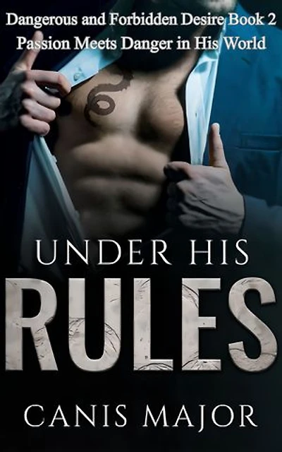 Under His Rules: Passion Meets Danger in His World
