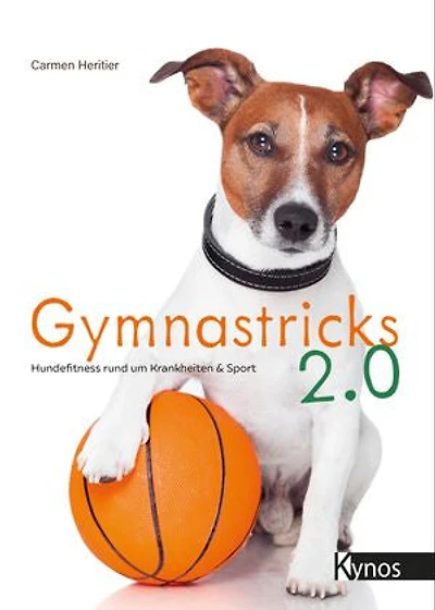 Gymnastricks 2.0: Hundefitness rund um Krankheit & Sport