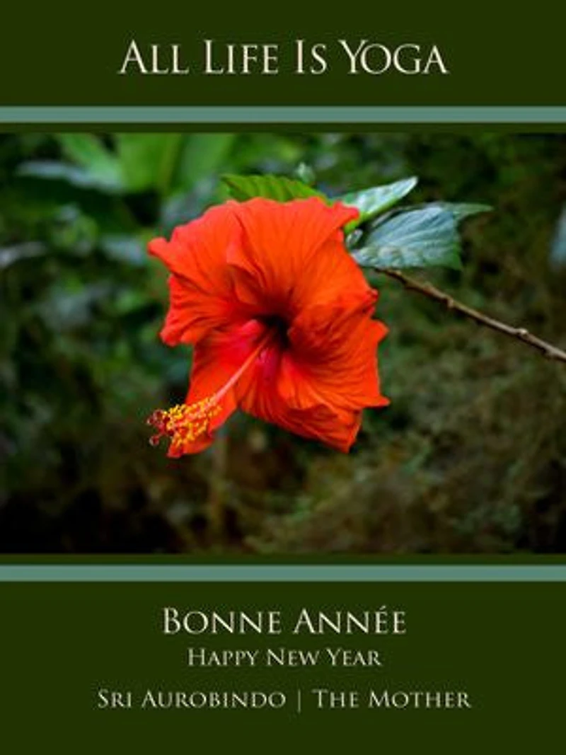 All Life Is Yoga: Bonne Année – Happy New Year