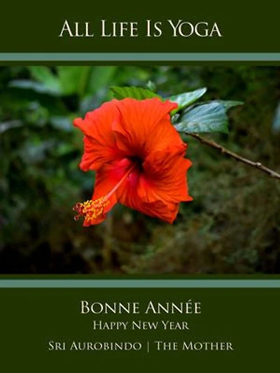 All Life Is Yoga: Bonne Année – Happy New Year
