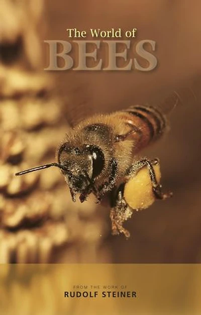 the World of Bees: From Work Rudolf Steiner