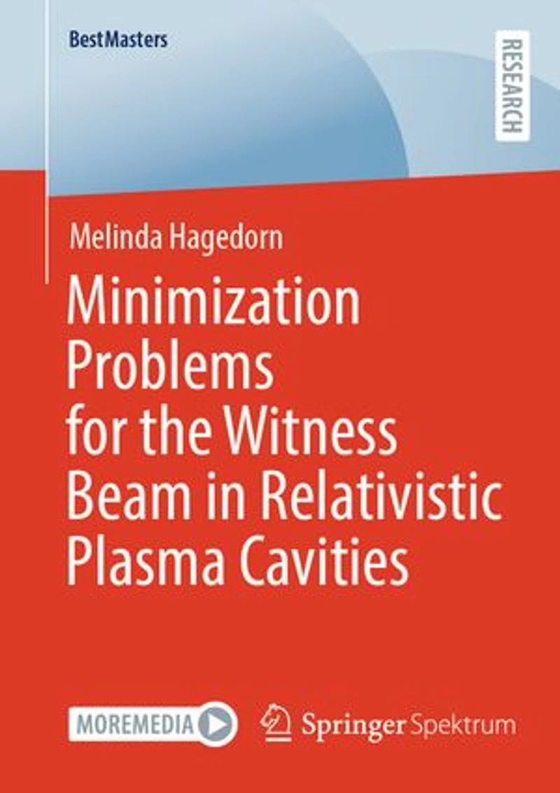 Minimization Problems for the Witness Beam Relativistic Plasma Cavities