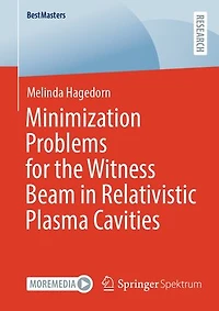 Minimization Problems for the Witness Beam Relativistic Plasma Cavities