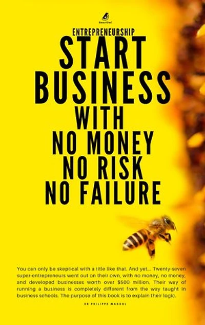 Entrepreneurship : Start Business With No Money No Risk No Failure: effectuation in motion