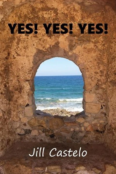 Yes! Yes! Yes!: The Artemesis Mysteries, #2