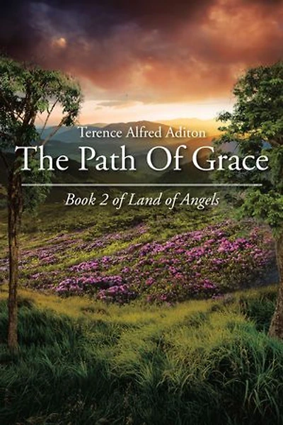 The Path of Grace: Book 2 Land Angels
