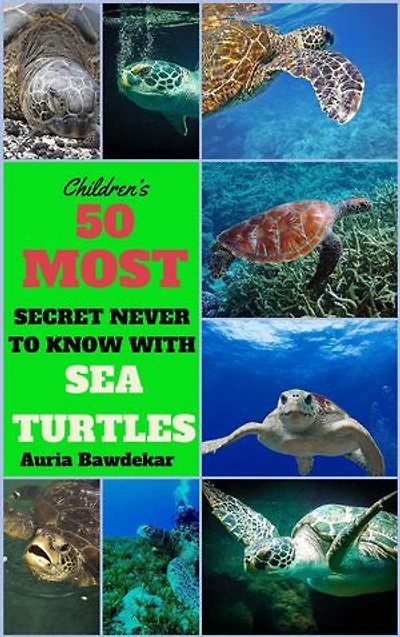 50 Most Secret With Sea Turtles