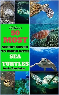 50 Most Secret With Sea Turtles