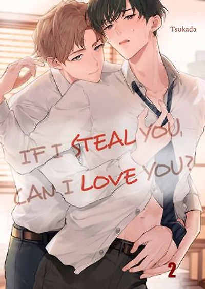 If I Steal You, Can I Love You?: Volume 2