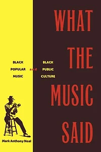 What the Music Said: Black Popular and Public Culture