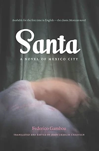 Santa: A Novel Of Mexico City