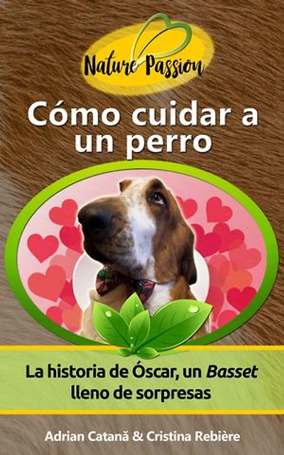 Cómo cuidar a un perro: La historia de Óscar, un Basset lleno de sorpresas