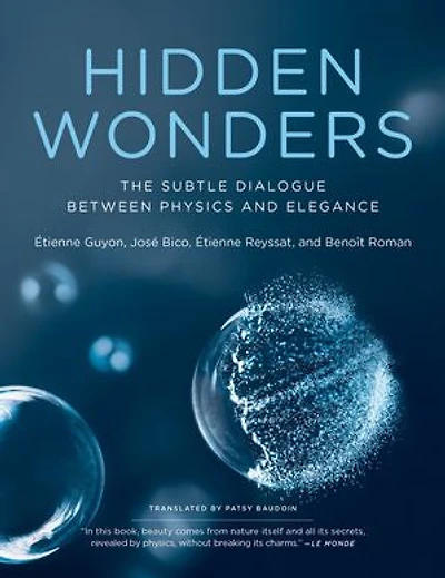 Hidden Wonders: The Subtle Dialogue Between Physics And Elegance