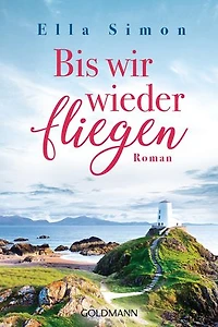 Bis wir wieder fliegen: Roman