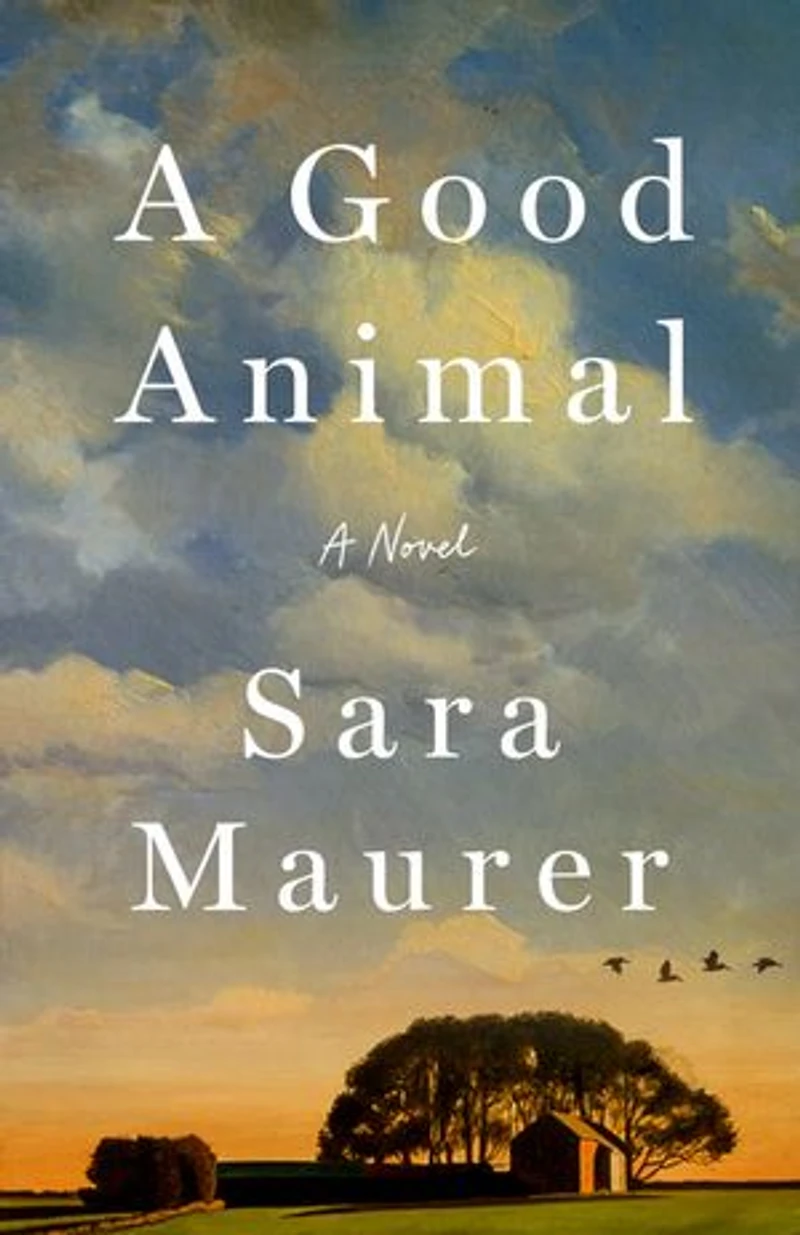 A Good Animal: Novel