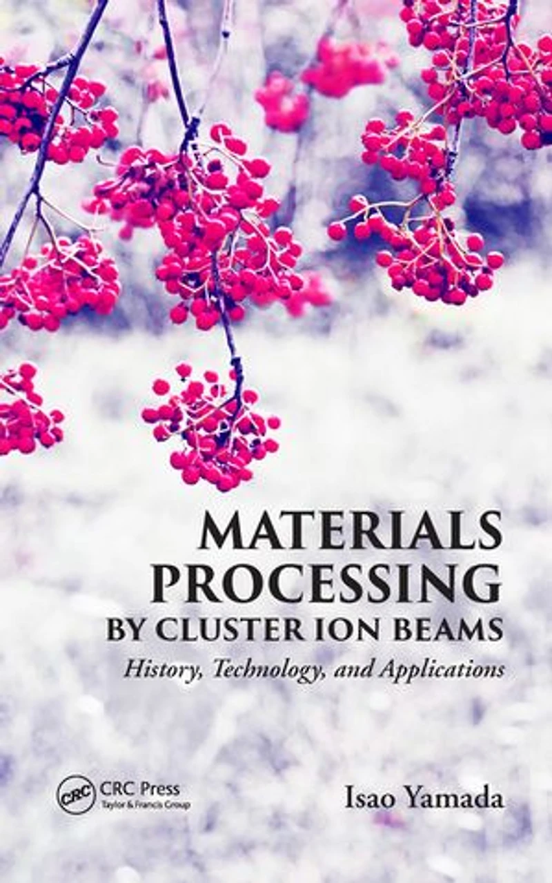 Materials Processing by Cluster Ion Beams: History, Technology, and Applications