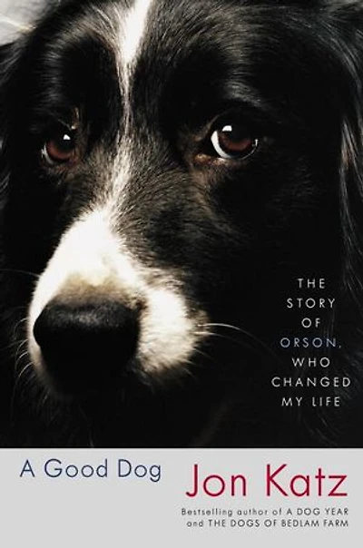 A Good Dog: The Story Of Orson, Who Changed My Life